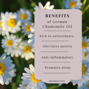 Chamomile, your new daily ritual